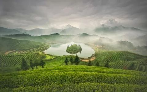 定了!首期中国茶产业杭州指数发布 | 第二届中
