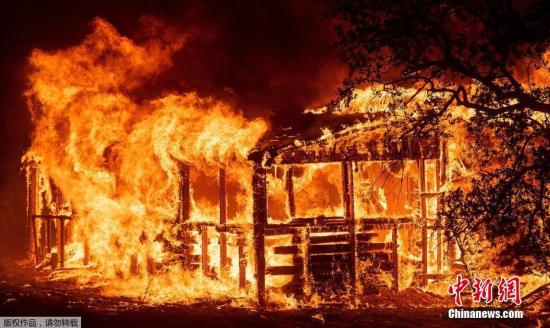 【蜗牛扑克】美加州山火肆虐5万人撤离 树木被火龙卷连根拔起