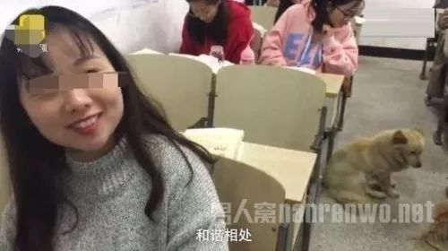 这个媒体热捧的“暖新闻” 结局让人意想不到