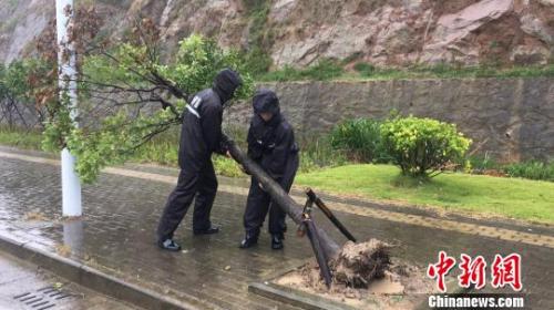 台风“米娜”影响浙江，图为民警进行路面清障。象山公安提供