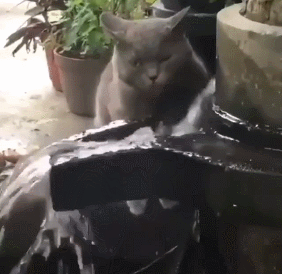 同九年，汝何秀？