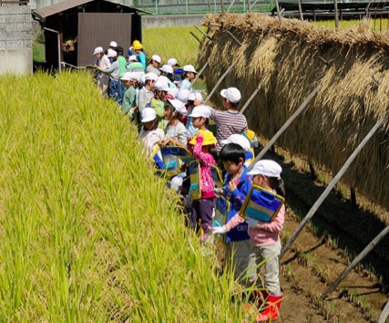 镇荣膺优秀协鑫大黄山硅科技小镇进入创建名单