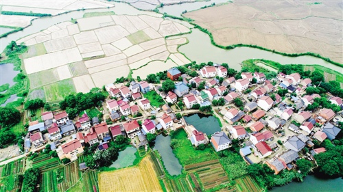 清华同衡规划设计研究院院长袁昕: 乡村振兴需