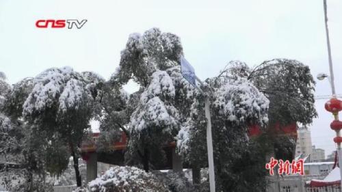 资料图：新疆乌鲁木齐暴雪。