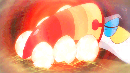 托哥——亚马逊河上最靓的崽