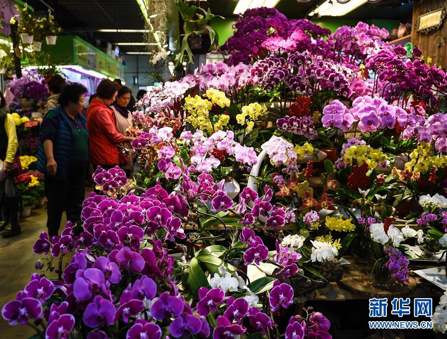 陇台艺术家书画为“媒” 共促两岸文化交流