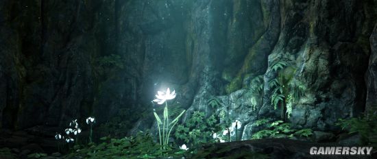 ֻǣӰŶȡֽҽͼ Կ羰ľȻ