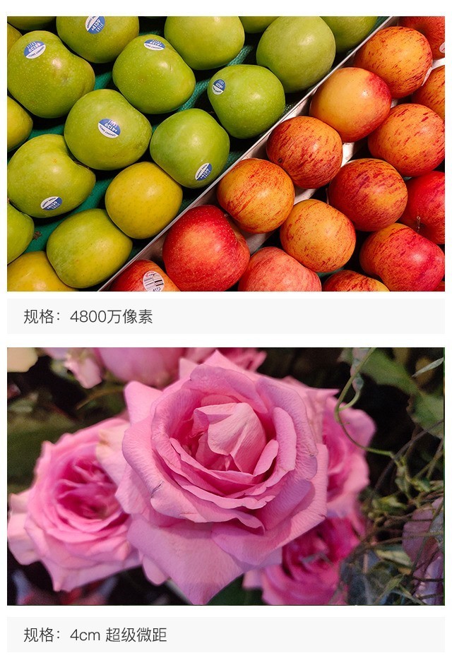 手机赌博棋牌官方网址-一图看懂2019年华为/荣耀手机平板EMUI10升级计划