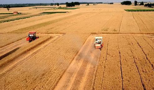 安徽2018全省农业工作会议提到的十大工程讲