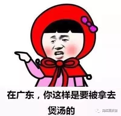 江西小哥竹鼠的1000种单层都比不过这些生吃乌龟,鸽子炖吃法能不能放章鱼图片