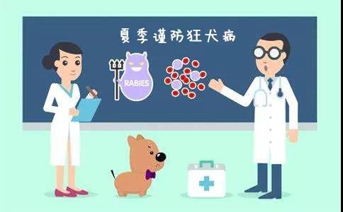 省疾控权威回应:江苏市场上的狂犬疫苗仍可放心接种