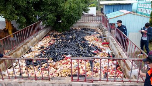 臺灣“海巡署”查獲各式爆竹17000多公斤。圖片來源:臺灣“中央社” 臺灣“海巡署”供圖
