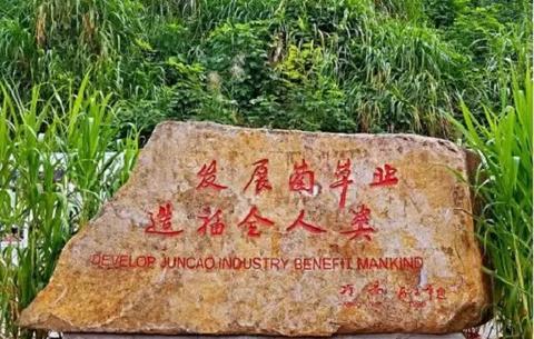 国家菌草工程技术研究中心楼前装饰