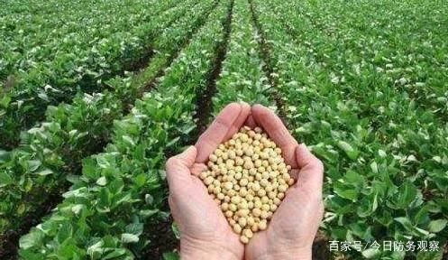 出乎意料!贸易战角力至今美国竟然输在了一枚