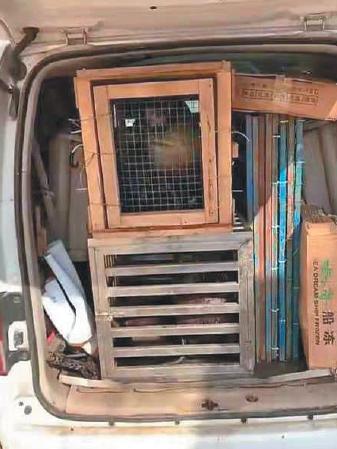 海狮非法展演:驯养馆藏身农家院 1只海狮3天赚5万