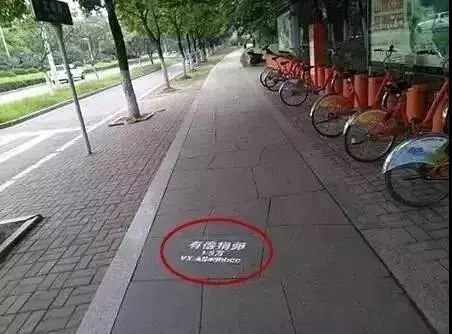 必须知道的真相