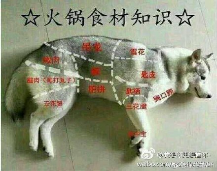 �������˽�����û��ת�˵��� ����һ��2��13�������