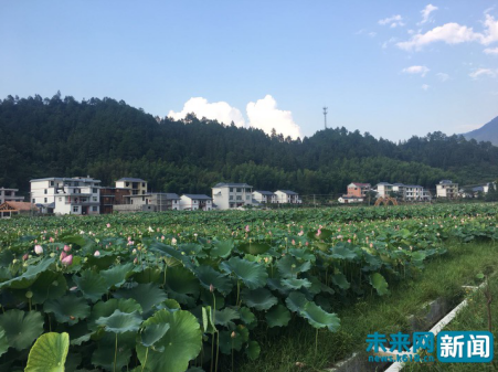 【脱贫攻坚在行动】牛栏变身咖啡屋 “度假经济”铺就家门口的小康路