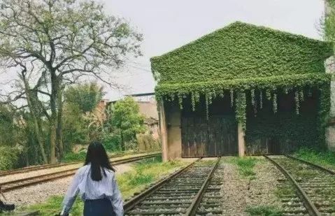 抖音上爆红的重庆这些打卡地,你想PICK哪一个