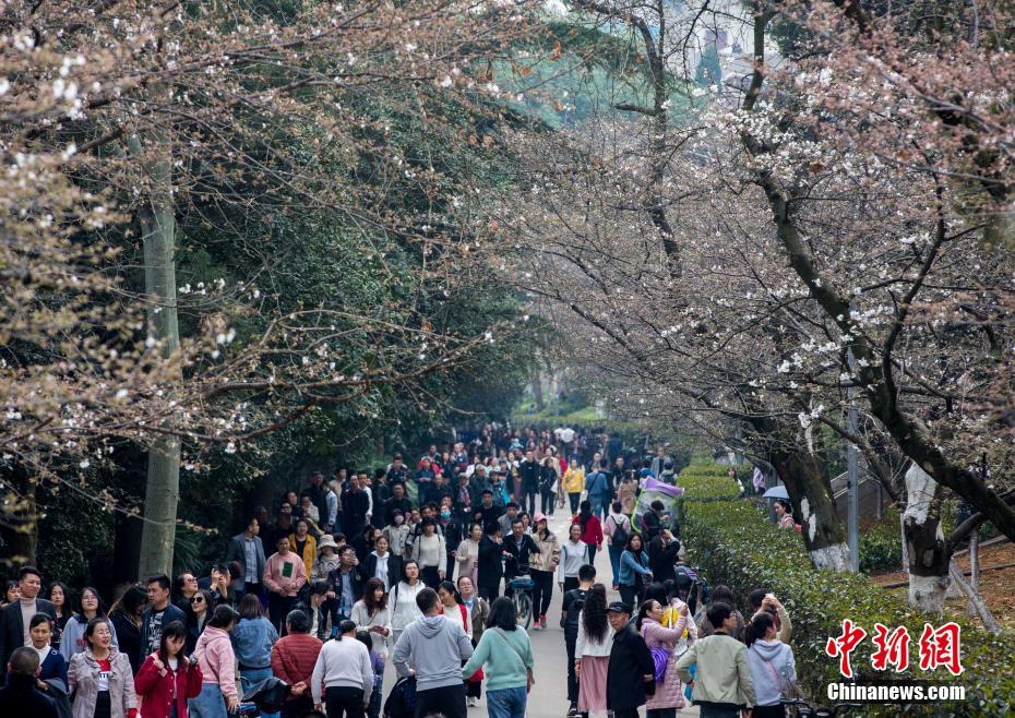 国际乒联最新世界排名公布 国乒四项高居榜首