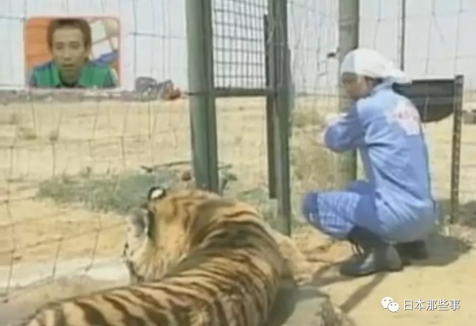 kirakira王子与天然“笨蛋” 这个小可爱36岁啦