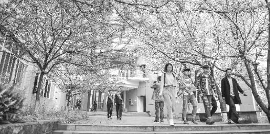 乐山师范学院2020年_乐山师范学院共青团、学生会改革交流会