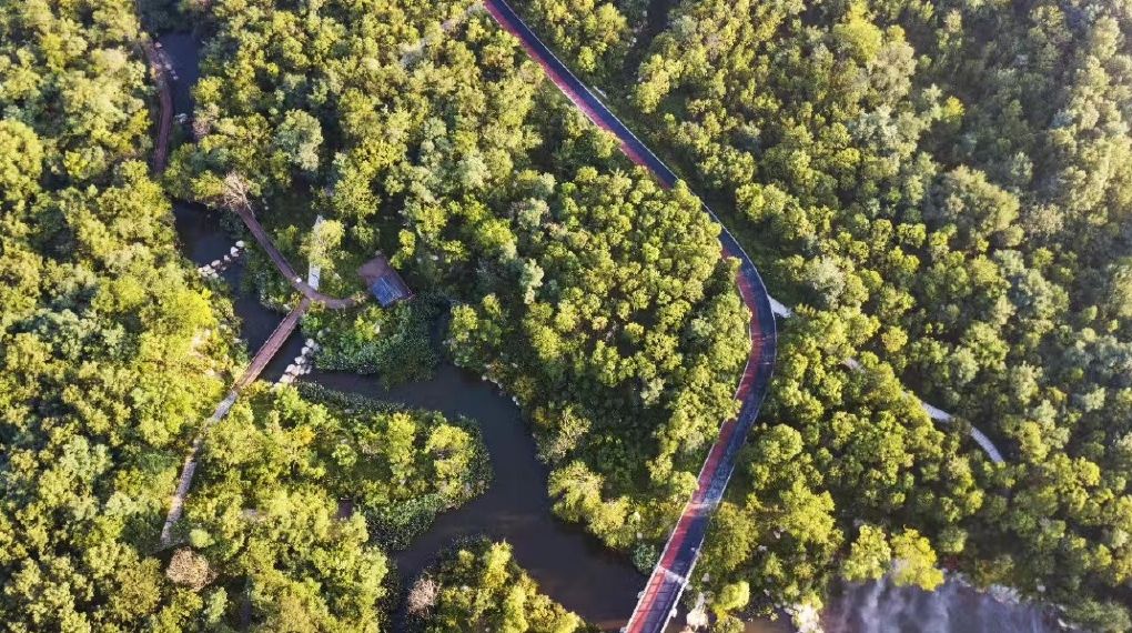 心“宿”春天,情“迁”一周的春色惊喜~