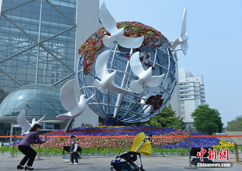 中国柔道协会即将开展2020年全国柔道大集训