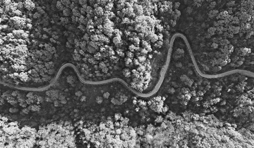复治理制定三步走计划严考核严监管|赵正永|违
