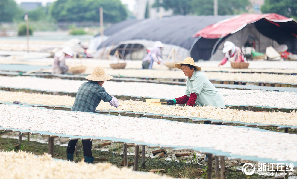 周天勇：如何理解人類命運共同體