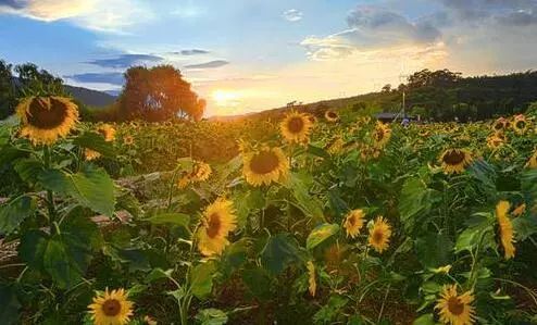 天呐!昆明周边房价悄悄涨?晋宁、宜良房价居然