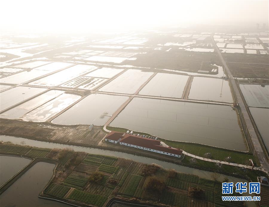 大城小像 70幅油画展现北京时代风貌