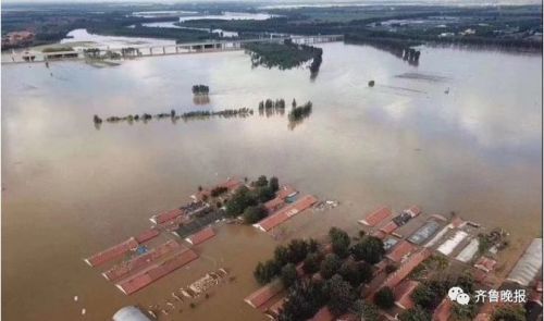 山东寿光水灾:倒房9999间,损失92亿,致部分地