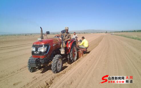 大同市天镇县马家皂乡引进高效农业项目助推农
