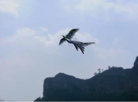 來源:視頻截圖