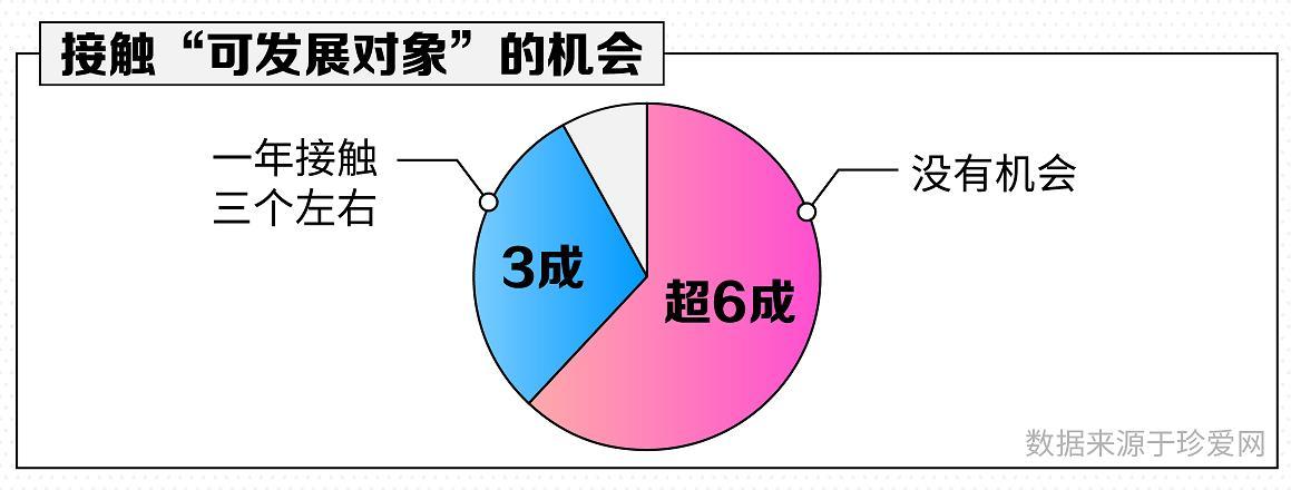 赌场赌龙虎 - 白岩松:爱你现在的时光