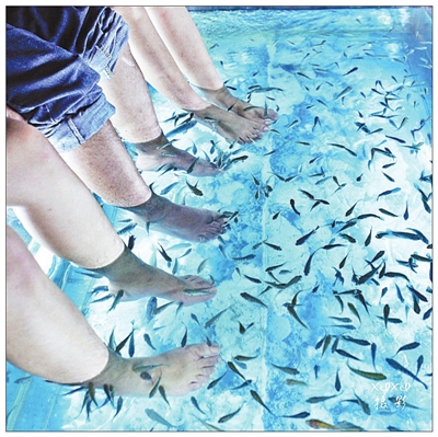 小鱼足疗有风险,顾客指甲脱落了