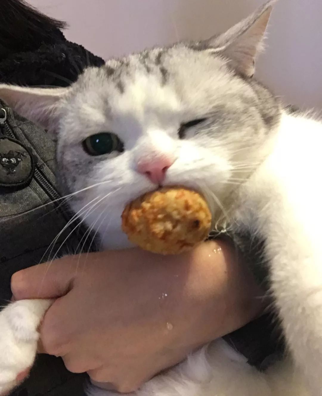 视觉中国创始人柴继军:对摄影师上传图片审核