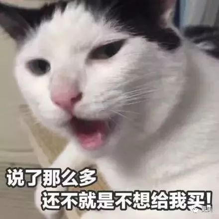 25岁杀马特整容男年赚3亿成日本金牌牛郎,明星