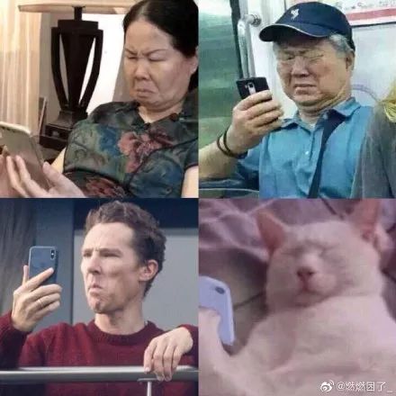 www.http.cc-清明前夕 宜宾县开展缅怀抗日民族女英雄赵一曼活动