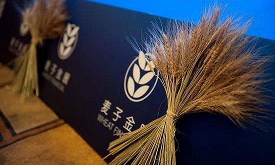 澳门赌场偷东西_冬天,西葫芦这样做实在太香了,我家一周吃3次,简单营养又解馋