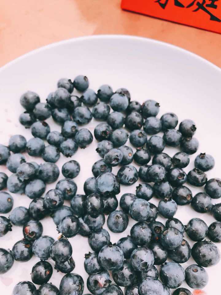 浙江哪里的蓝莓最好吃?我省举办第一届