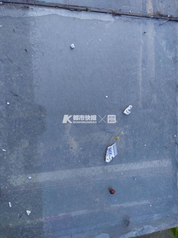 外围网站代理能赚多少钱·江阴“东方造物馆”开馆
