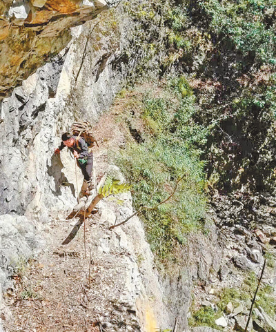 湖北神龙架多少人口_湖北七普人口数据公布