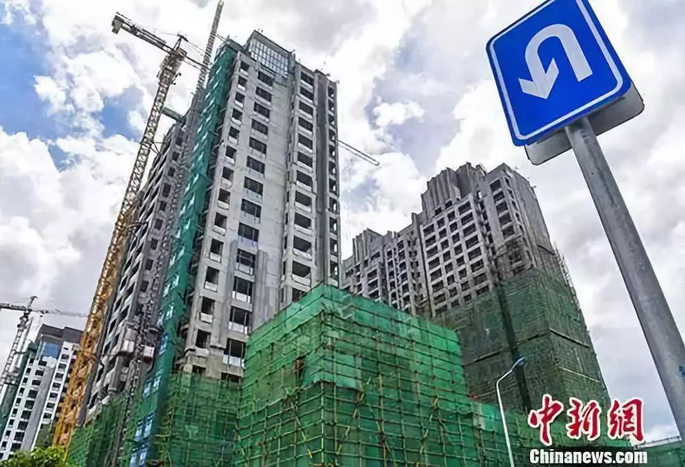「无极3开户地址」催生两岸民间交往万树繁花