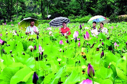 咸宁市：特色才是长效 力争2020年建设100个美丽示范村(图1)