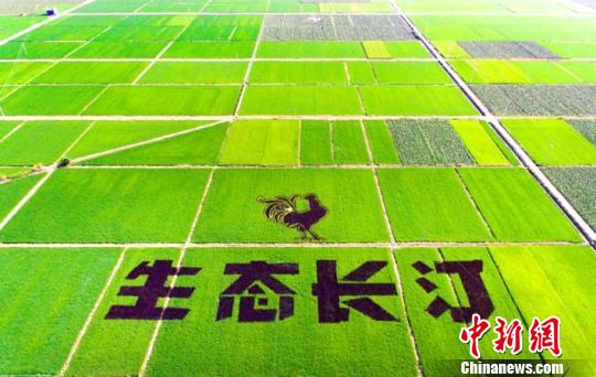 福建省长汀县的GDP_福建省长汀县彭凯(2)