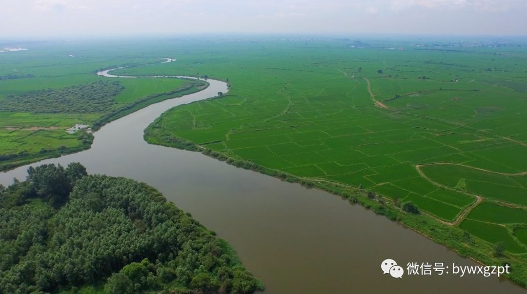 【倡议书】美丽乡村你我先行--致全县广大妇女