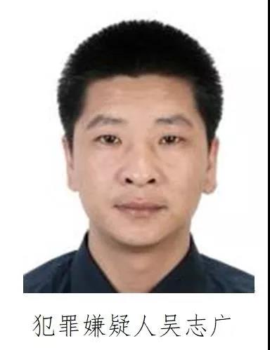 注册会员送现金的赌博网_教你学会如何折纸可爱的变色龙,简单易学,是不是很有创意