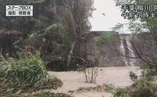 澳门博彩法律法规,张惠妹近照下巴削尖腿变细,力证没有二百斤!视频却重现真实身材